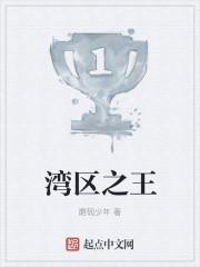 湾区之王无错版