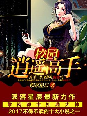 校园逍遥高手下一本书叫什么