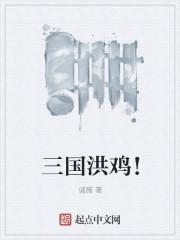 三国洪鸡全文免费阅读