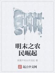 明末之农民崛起动漫
