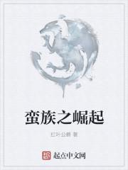蛮族崛起一共几季
