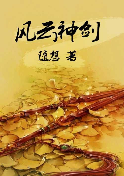 风云神剑山庄少庄主