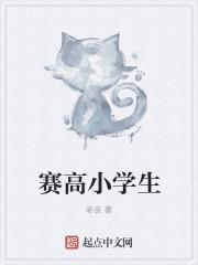 小学生赛高付费