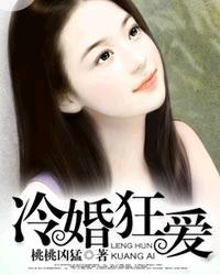 冷婚狂爱讲了什么故事
