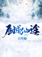 厨道仙途免费观看电视剧
