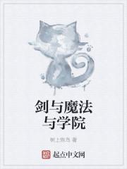 剑与魔法与学院3一共有多少个角色