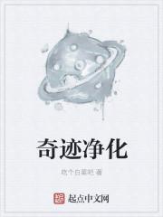 奇迹净化宝石有什么用