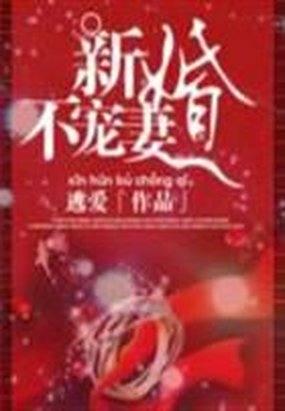 我的新婚罪妻免费阅读