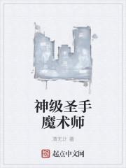 魔术圣手芯片