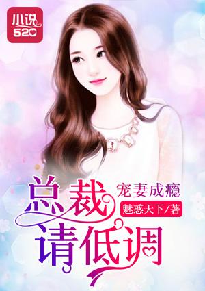 宠妻成瘾总裁请低调莫子琪