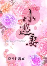 白云裳总裁逮捕小逃妻