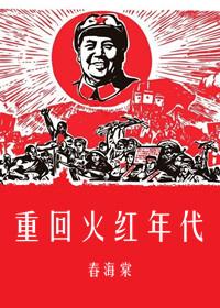 重回火红年代做俗人笔趣阁