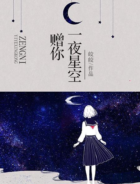 赠你一夜星空完整版txt