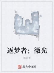 逐梦之光测评