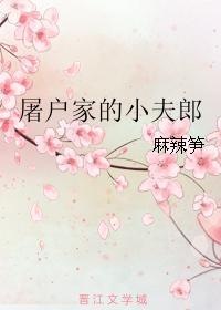 屠户家的小夫郎书包网