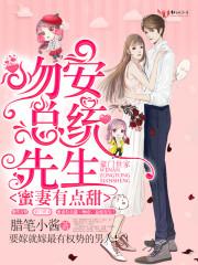 蜜妻有点甜吻安总统先生简介
