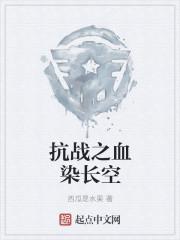 抗战之血染长空讲的什么