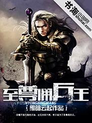 至尊佣兵王刘毅免费阅读