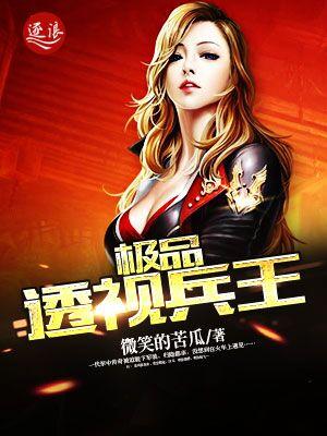 极品透视兵王/十纸