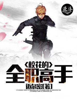 校花的全职高手叶枫水门