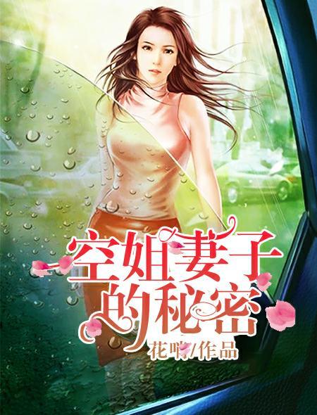 空姐妻子的秘密第三季剧情介绍无马赛克