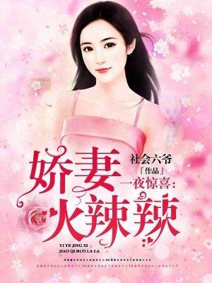一夜惊喜娇妻火辣辣社会六爷