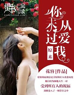 原来你从未爱过我李宗盛歌词