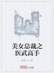 美女总裁之医武高手13