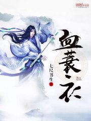 血蓑衣武功排行