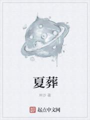 夏葬 歌词