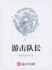 游击队长林婷的视频