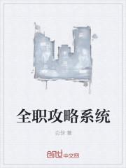 全职英雄攻略