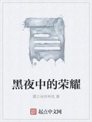 黑夜中这首歌的含义