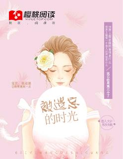 被遗忘的时光番外孩子