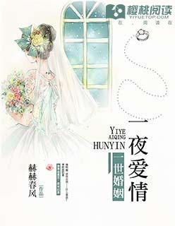 一夜爱情电影片头曲