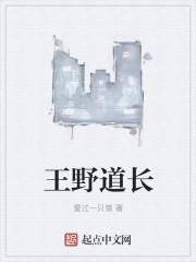 王野小道长王