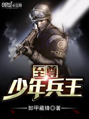 至尊兵王 全本