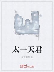 太一天君叶玄