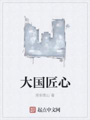 大国匠心收费标准