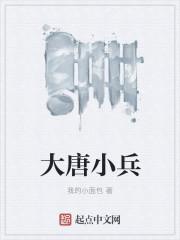 大唐小兵全集免费观看
