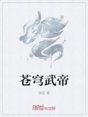 苍穹武神境界