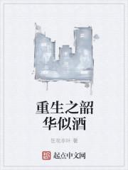 韶华如歌