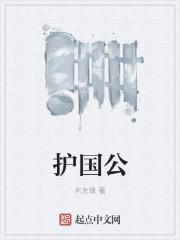 护国公木允锋笔趣阁