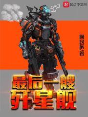 一艘歼星舰有辅助舰吗