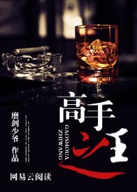 高手之王TXT完结版最新章节列表