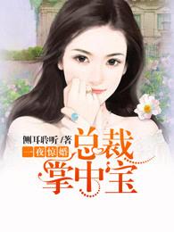 一夜惊婚总裁掌中宝的傅唯西傅丞渊相羞多少岁