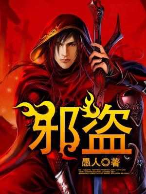 邪盗 聚合中文网