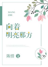 向着明亮那方苏更生