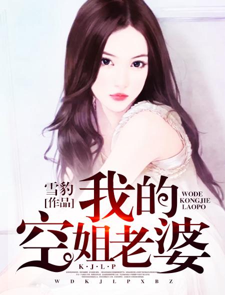 我的空姐老婆王昆