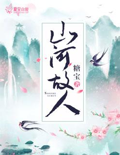 山河故人 张艾嘉